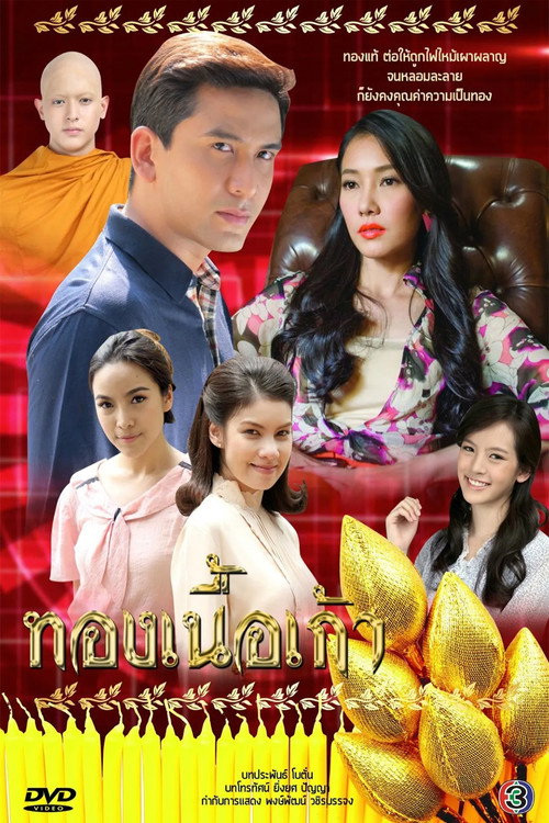 Póster de ทองเนื้อเก้า
