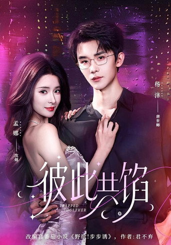 Póster de 彼此共馅