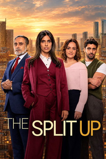 Póster de The Split Up