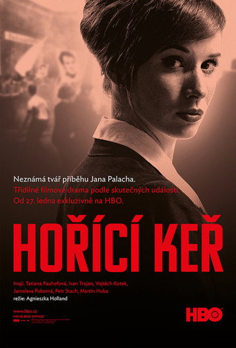 Póster de Hořící keř