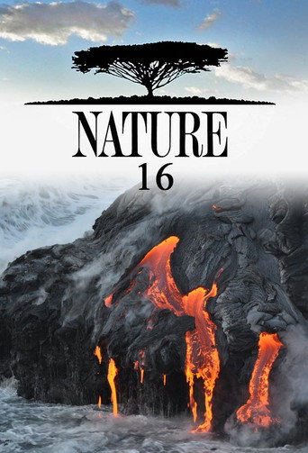 Póster de Likteņa Līdumnieki