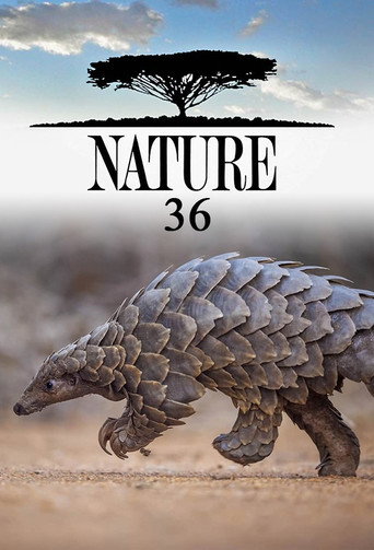 Temporada 36