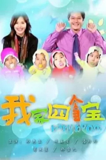 Póster de 我家四个宝