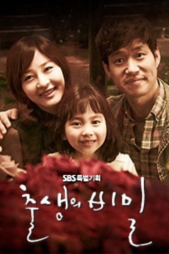 Póster de 출생의 비밀