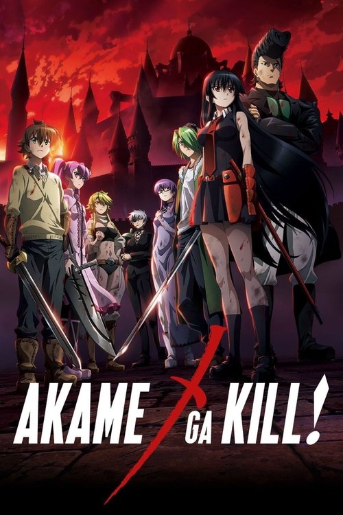 Póster de Akame ga Kill!