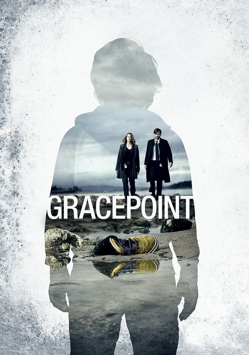 Póster de Gracepoint