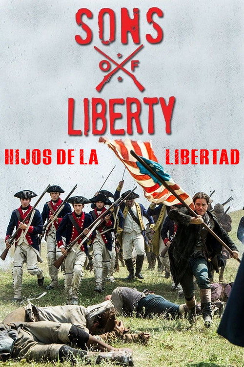 Póster de Sons of Liberty