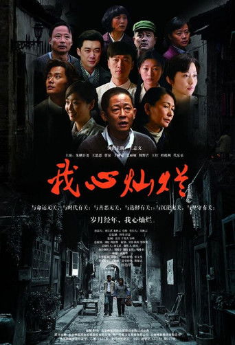 Póster de 我心灿烂