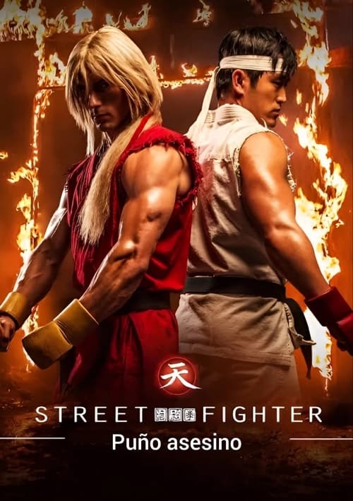 Póster de Street Fighter: Puño asesino