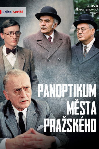 Póster de Panoptikum města pražského