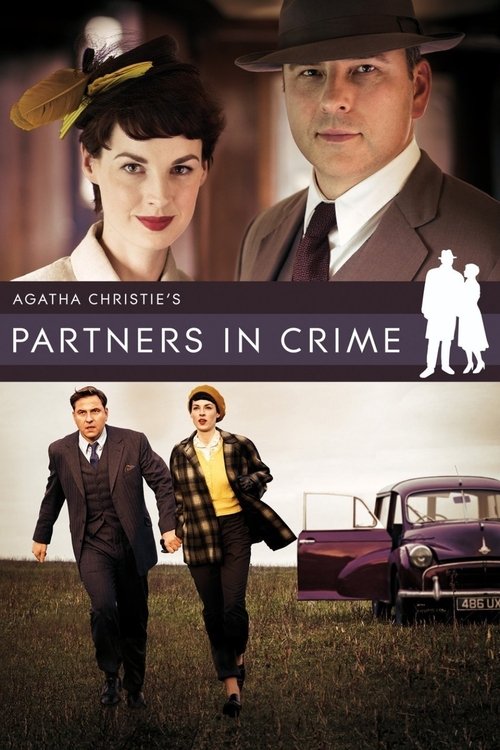 Póster de Partners in Crime