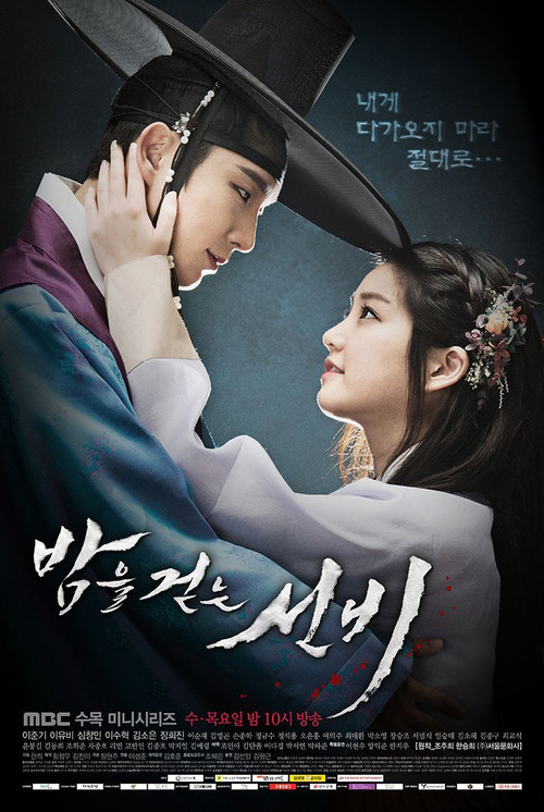 Póster de 밤을 걷는 선비