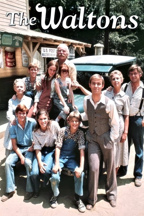 Póster de The Waltons