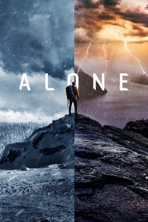 Póster de Solos