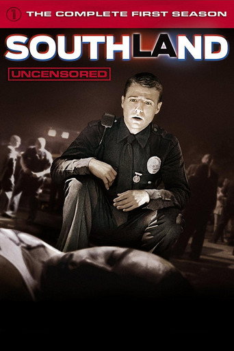 Póster de 장영실