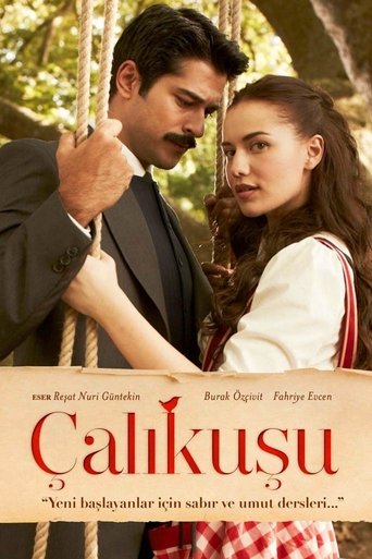 Póster de Çalıkuşu