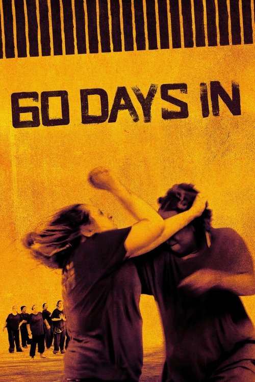 Póster de 60 Days In