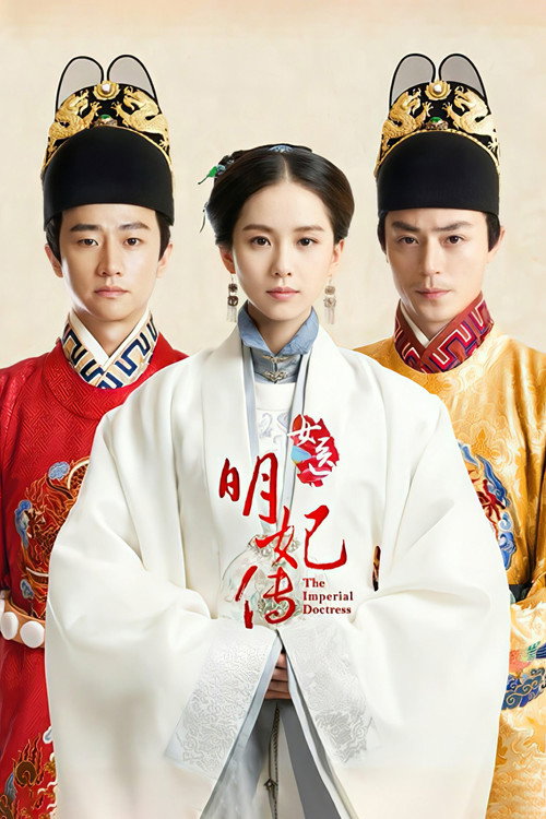 Póster de 女医·明妃传