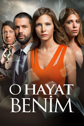 Póster de Me robo mi vida