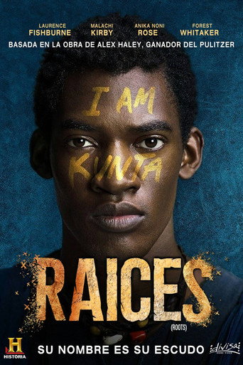 Póster de Raíces