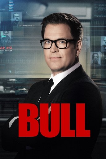 Póster de Bull