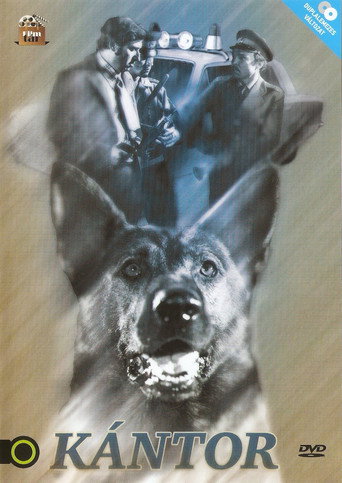 Póster de Kántor