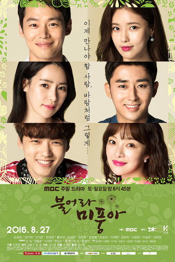 Póster de Windy Mi Poong