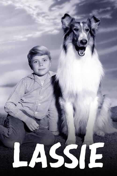 Póster de Lassie
