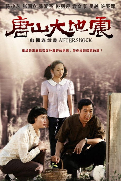 Póster de 唐山大地震