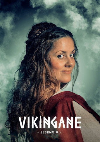 Póster de Vikingane