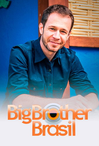 Póster de The Idiot