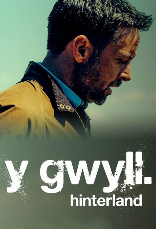 Póster de Y Gwyll