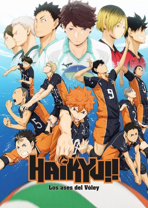 Póster de Haikyu!!
