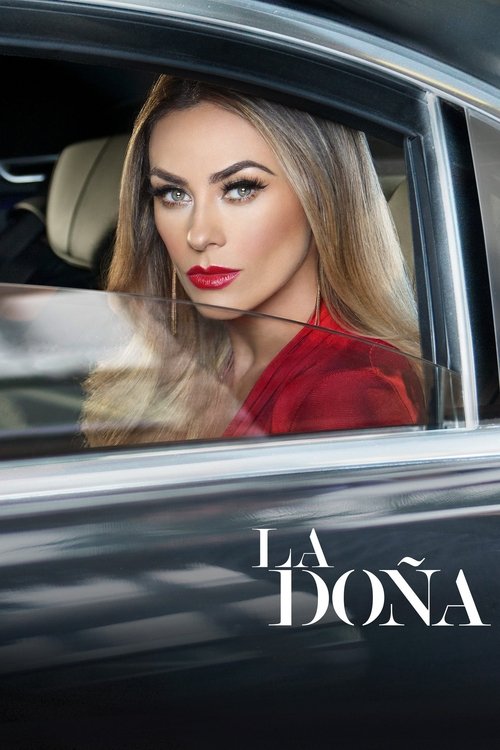 Póster de La Doña