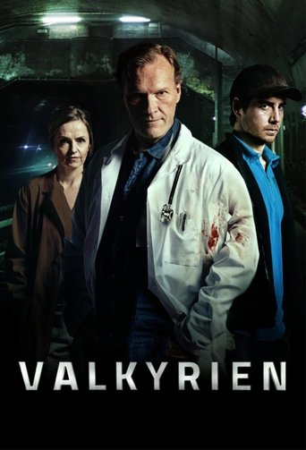 Póster de Valkyrien