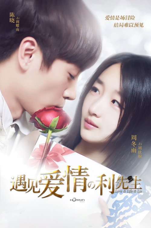 Póster de 遇见爱情的利先生