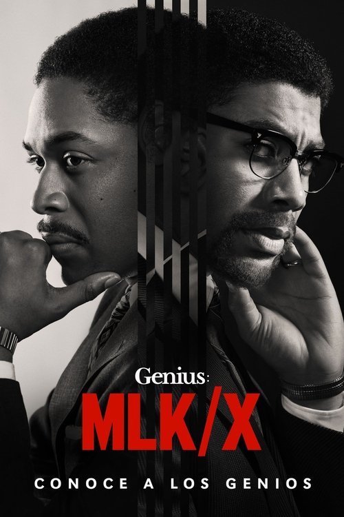 Póster de Genius: Einstein