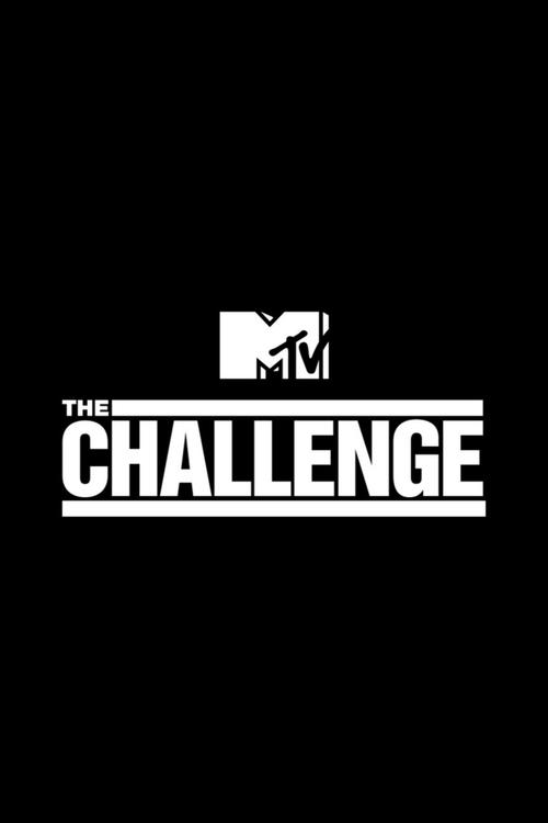 Póster de The Challenge