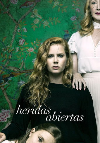 Póster de Heridas Abiertas
