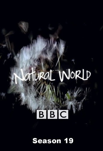 Temporada 19