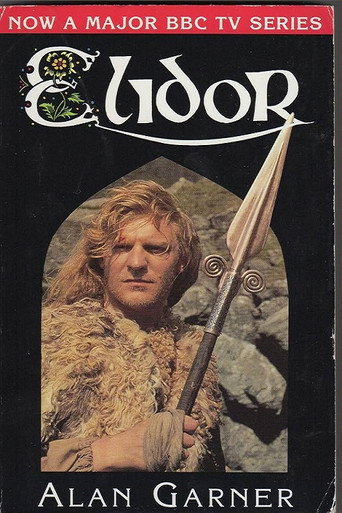 Póster de Elidor