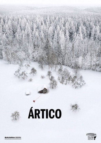 Póster de Ártico