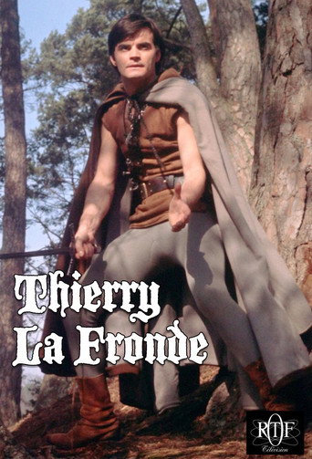 Póster de Thierry la Fronde