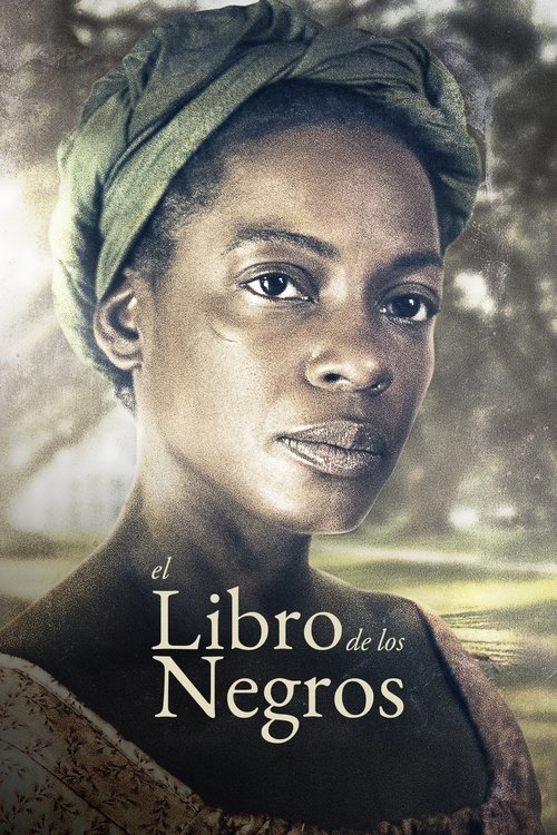 Póster de The Book of Negroes