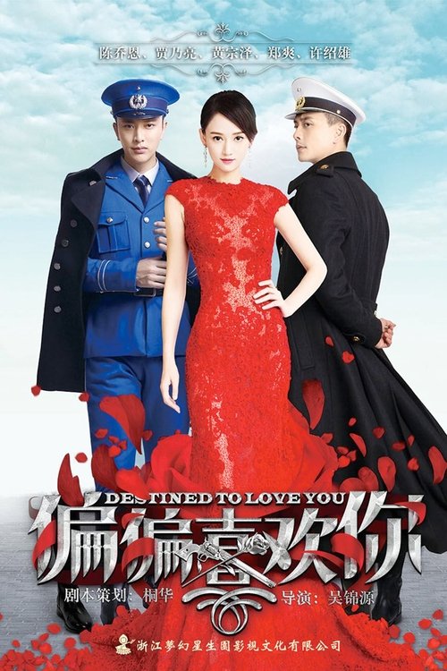 Póster de 偏偏喜欢你