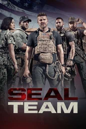 Póster de SEAL Team