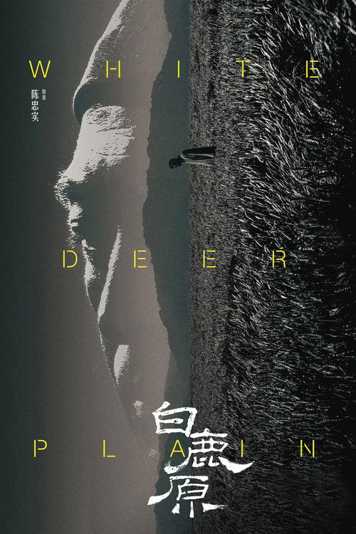 Póster de 白鹿原