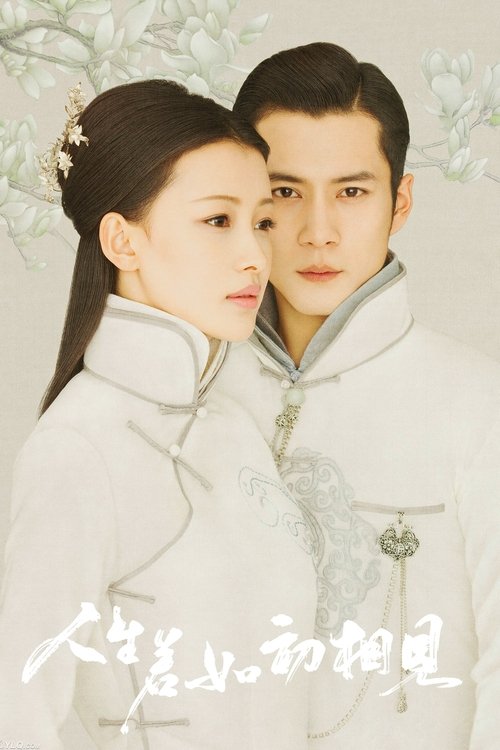 Póster de 人生若如初相见