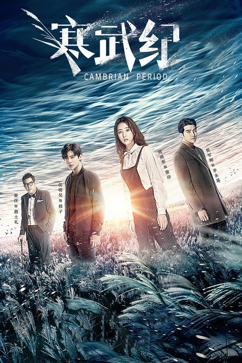 Póster de 寒武纪