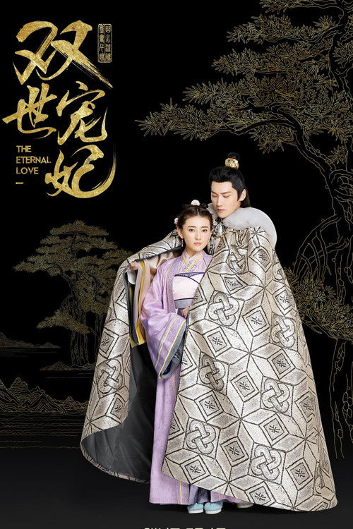 Póster de 双世宠妃